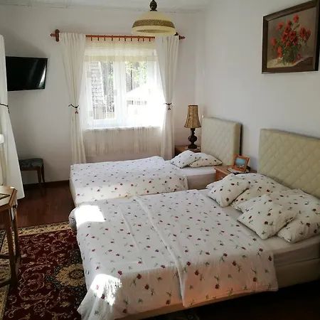 Gościniec Grek Zorba - pokoje i domki 4 osobowe Inwałd Zewnętrze zdjęcie